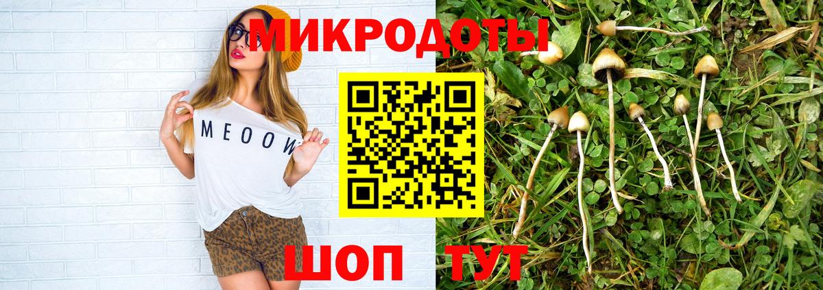 Галлюциногенные грибы GOLDEN TEACHER  Вход с VPN  как найти закладки  Шуя 