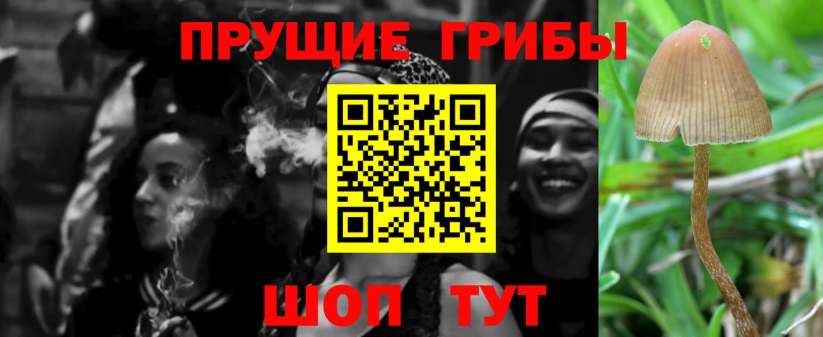 Галлюциногенные грибы GOLDEN TEACHER  закладка  Шуя 